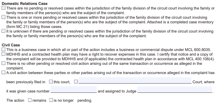 an example of case caption on SCAO form