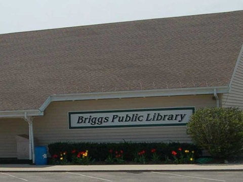 Briggs District Library